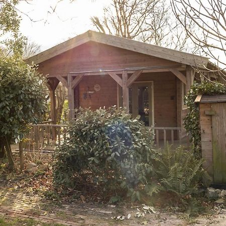 Chalet Ben In Broek Benningbroek Eksteriør bilde